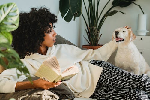 Dogs That Enjoy a Couch and Movie More Than a Yard and A Ball