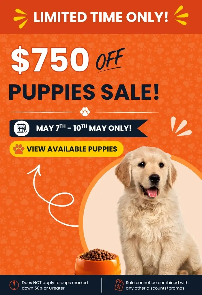 $750 OFF Puppies at Petland Memphis!