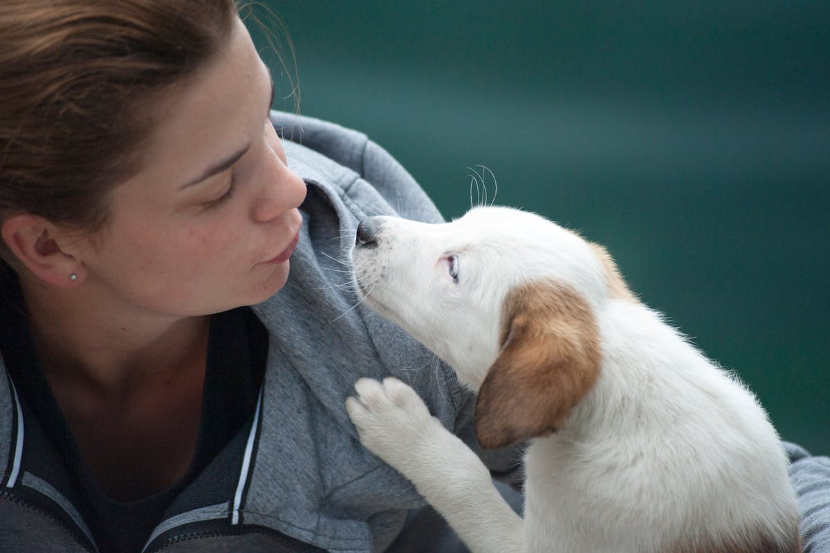 How Puppies Recognize Humans: Building a Strong Bond Early