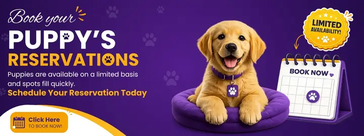 Schedule Your Puppy Pickup Today